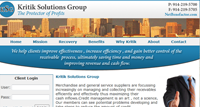 Kritik Solutions Group 
